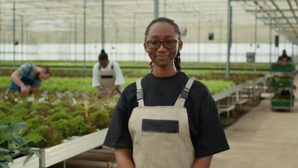 Portrait Smiling Woman Modern Greenhouse Workers Taking Care Lettuce Crop — Stock videók