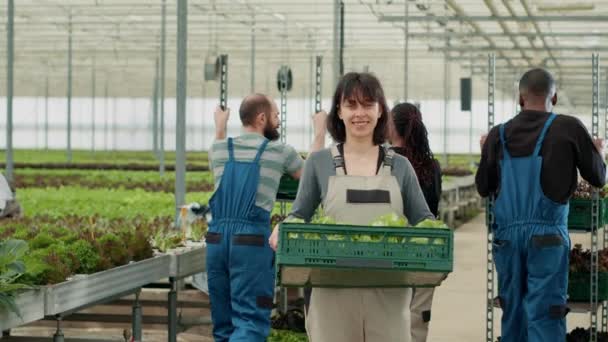 Portrét Sebevědomé Bělošky Držící Bednu Produkcí Salátu Zatímco Různí Dělníci — Stock video
