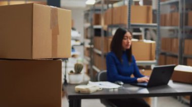 Female entrepreneur working on supply chain development with products stock in packages, planning distribution in warehouse. Young woman using laptop and checking quality of goods.