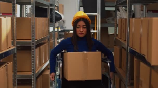 Asijka Vozíčku Nesoucí Lepenkové Krabice Pro Kontrolu Kvality Pracující Zaměstnanci — Stock video