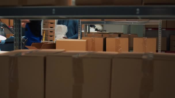 Male Entrepreneur Taking Supplies Storage Shelves Prepare Merchandise Order Storehouse — Stock video