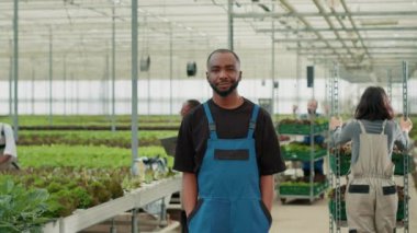 İşçiler sandık dolusu marul taşırken cebinde silahlarla poz veren gülümseyen Afrikalı Amerikalı adamın portresi. Toplayıcılar teslimat yaparken sebze çiftçisi serada dikiliyor..