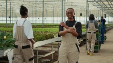 Modern serada kollarını kavuşturarak poz veren gülümseyen kadın portresi marul hasadı ve yeşillik fidanlarıyla ilgilenen işçiler. Mutlu poz veren Afro-Amerikan tarım işçisi.