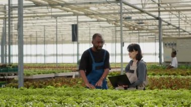 Diverse organic farm workers using laptop to manage online orders for bio lettuce grown with no pesticides while coworkers move crates. Man and woman using portable computer talking about agriculture.