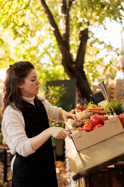 女店员在摊位上摆放新鲜的有机产品 并将装有水果和蔬菜的纸板箱放在摊位上 在当地健康农民市场工作的人的小农业经营概念 — 图库照片