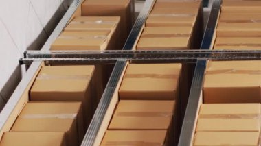 Dikey video: Raflardaki malları kontrol eden ve sipariş sevkiyatı ya da dağıtımı planlayan iki depo işçisi, depodaki stok mallarının listesine bakan insanlar. Lojistik ve envanter ürünleri.