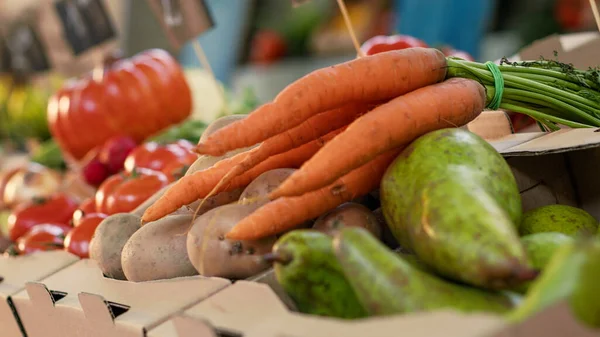 有机新鲜水果和蔬菜在摊位上 健康的天然农产品在户外农民市场 有季节性生物产品的绿色市场柜台 手持射击 靠近点 — 图库照片
