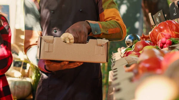 非洲裔美国农民将新鲜农产品装箱 在食品交易会上向顾客出售当地生产的天然产品 男性卖主选择有机生物水果和蔬菜 手持射击 — 图库照片