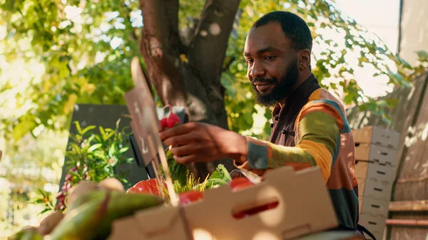 African American Farmer Selling Box Fresh Eco Products Farmers Market — Stock Photo, Image