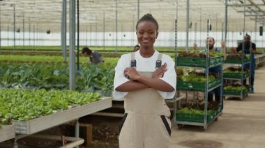 Hidroponik çevresindeki organik ekinlerde ve sebze çiftliğinde kolları çaprazlanmış mutlu poz veren kadın portresi. Gülümseyen Afro-Amerikan sera işçisi ve sandık dolusu marul satan adamlar..