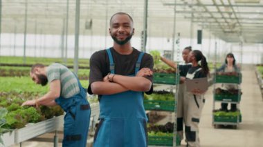 Smiling african american man posing with arms crossed while farm workers using laptop manage deliveries to local store. Portrait of farmer standing in modern greenhouse while pickers fill crates.