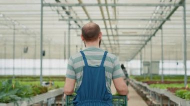 Elinde farklı türde organik yeşil marul olan beyaz bir adam rafları iten sera işçisine merhaba diyor. Sera çiftçisi yerel iş adamlarına selam vermeye hazırlanıyor..