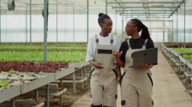 Modern serada çalışan iki Afro-Amerikalı kadın ellerinde dizüstü bilgisayarlarıyla yürüyor ve organik sebzeler üretiminden bahsediyorlar. Marul çiftliği işçileri teslimat için bitkileri hasat etmeyi tartışıyorlar..