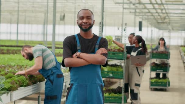 Smiling African American Man Posing Arms Crossed While Farm Workers — 图库视频影像