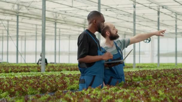 Agricultor Afro Americano Segurando Laptop Conversando Com Experiente Trabalhador Caucasiano — Vídeo de Stock