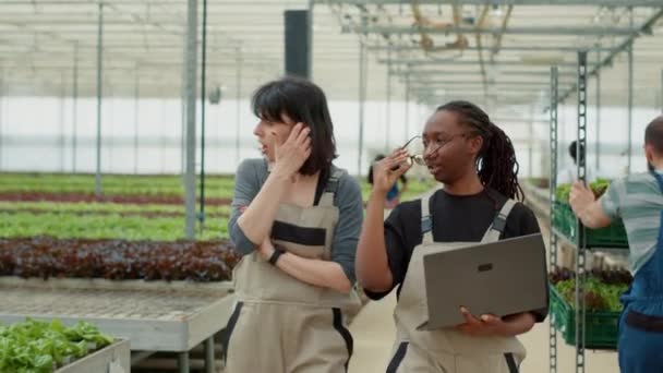 Two Women Using Laptop Agricultural Planning Walking Talking Growing Lettuce — Stockvideo
