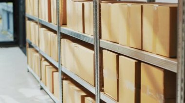 Multiple crdboard boxes placed on racks and shelves, merchandise or goods in containers to ship from storage depot. Empty warehouse space filled with products and distribution stock.