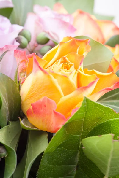 Όμορφο Λουλούδι Μακροεντολή Γυρίσματα Στο Στούντιο Επαγγελματικού Φωτισμού — Φωτογραφία Αρχείου