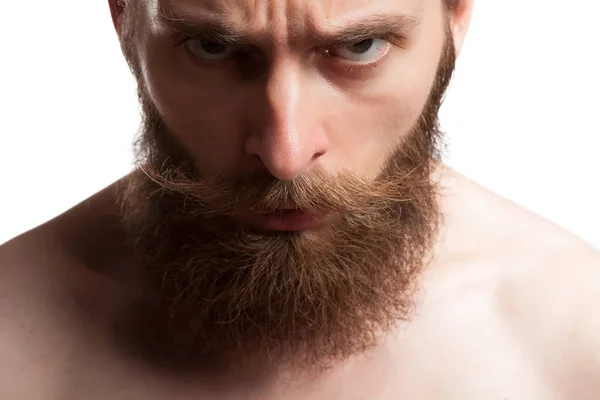 白い背景の上のスタジオ写真で長いひげを持つクールな男 — ストック写真
