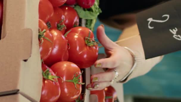 Vídeo Vertical Jovem Verdureiro Com Avental Mostrando Produtos Agrícolas Orgânicos — Vídeo de Stock