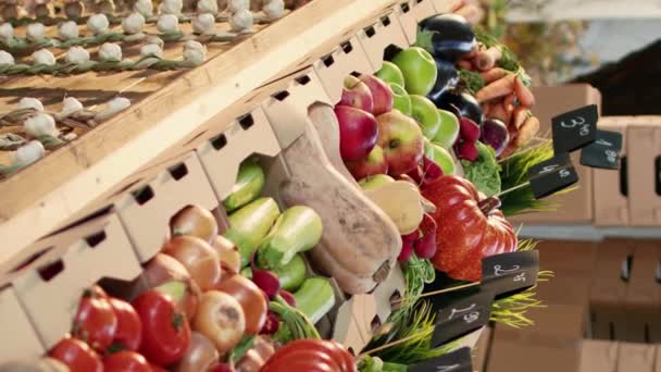 Vídeo Vertical Stand Del Mercado Alimentos Orgánicos Con Productos Bio — Vídeos de Stock
