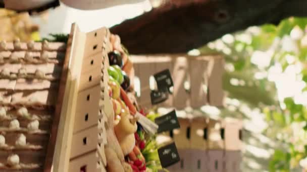 垂直ビデオ ベンダーのチームは 有機新鮮なエコ製品を販売し 地元の農業スタンドに野菜の価格タグやボックスを入れています ストリートフードフェスティバルで働く男女経営者 — ストック動画