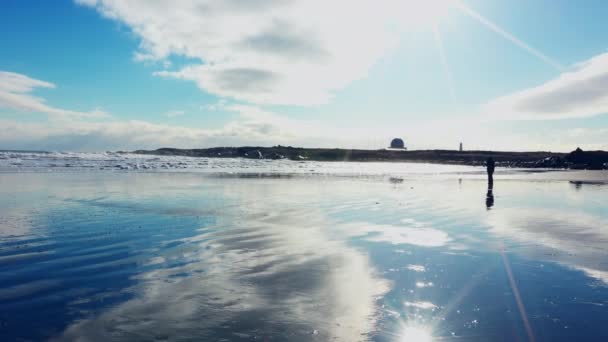 Spiaggia Stokksnes Islanda Circa Marzo 2023 Onde Che Infrangono Sulla — Video Stock