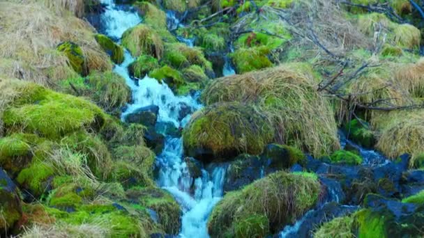 水流从冰岛式瀑布流下悬崖 河水从雷克雅未克山区或山丘流下 美丽的自然自拍 冰原上的飞蛾瀑布 北欧风景 — 图库视频影像