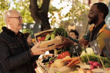 Çiftçi pazarından taze meyve ve sebze kutuları alan yaşlı insan, güneşli bir günde ziyaretçi standını ziyaret ediyor. Gülümseyen Afrikalı Amerikalı adam küçük işletme sahibi ev yapımı organik ürünler satıyor..