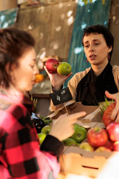 Frauengruppe Gespräch Über Lokale Frische Bauernmarktprodukte Kunden Die Bio Obst — Stockfoto