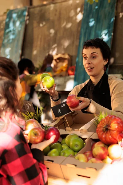 Młoda Przyjazna Kobieta Miejscowy Rolnik Sprzedaje Świeże Jabłka Organiczne Klienta — Zdjęcie stockowe