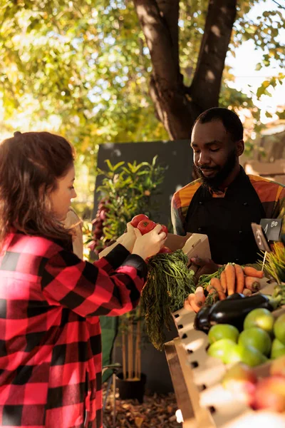 Afrikai Amerikai Árus Aki Bio Gyümölcsöt Vagy Zöldséget Árul Kisvállalkozásban — Stock Fotó
