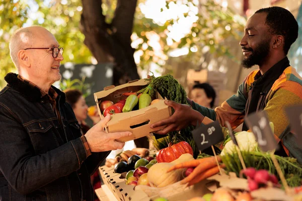 老人在农贸市场收到一盒新鲜水果和蔬菜 在阳光明媚的日子参观摊位 微笑的非洲裔美国人小企业主卖自家种植的有机农产品 — 图库照片