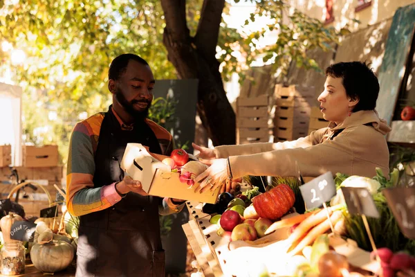由不同的农民组成的小组准备食品市场 将水果和蔬菜装箱 销售土生土长的天然产品 展示各种有机新鲜生物产品的青年人 — 图库照片