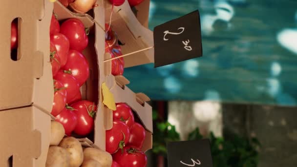 Vídeo Vertical Frutas Verduras Frescas Colores Naturales Exhibición Mercado Agricultores — Vídeo de stock