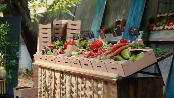 Local Fresh Produce Farmers Market Display Stand Organic Agricultural Farming — Vídeos de Stock