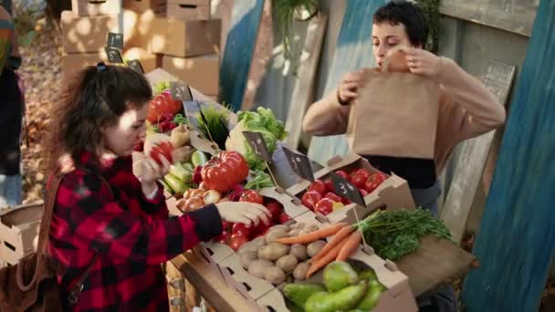 Mladý Prodejce Mluvil Zákazníkem Prodával Domácí Produkty Farmářském Trhu Místní — Stock video