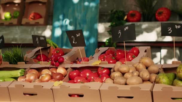 Natuurlijke Kleurrijke Verse Groenten Fruit Tentoongesteld Boerenmarkt Gezonde Voeding Kartonnen — Stockvideo