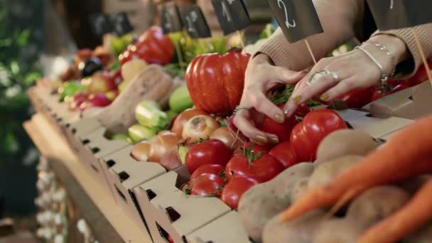 Joven Vendedor Alimentos Arreglando Frutas Verduras Puesto Mercado Los Agricultores — Vídeos de Stock