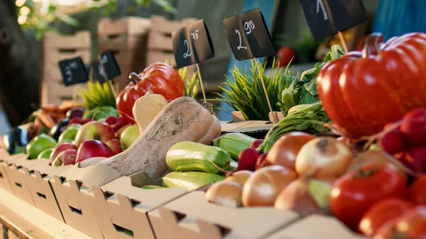当地种植的天然农产品在农贸市场陈列在有机农业柜台旁 各种五彩缤纷的新鲜生物水果和蔬菜在收获节的摊位上摆放着 — 图库照片