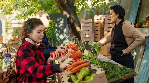 小业主销售来自当地花园 市场的季节性健康有机农产品 女顾客在农贸市场购买季节性水果和蔬菜 — 图库照片