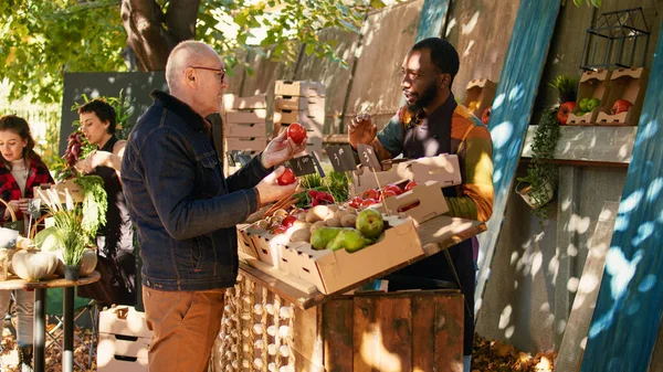 Pessoa Idosa Comprando Várias Frutas Biológicas Saudáveis Legumes Mercado Fazendeiros — Fotografia de Stock