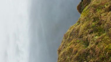Reykjavik İzlanda yakınlarındaki tepeden aşağı akan su akıntısı, İzlanda manzaralı görkemli seljalandsfoss çağlayanı. Şelaleli güzel kutup manzarası. El kamerasıyla. Kapat..