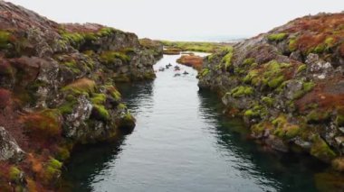 Kış boyunca Reykjavik yakınlarındaki bir parkta şnorkelle yüzen bir grup insan, kutup soğuk sularında açık hava sporlarıyla eğleniyor. Donmuş nehirde yüzen turistler, İzlanda manzarası. El kamerasıyla..