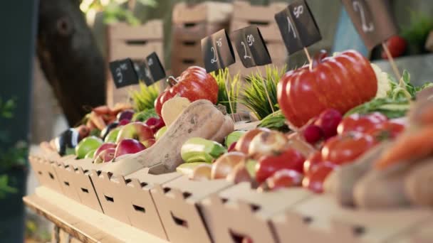 Frutas Verduras Frescas Ecológicas Cajas Stand Productos Agrícolas Naturales Saludables — Vídeos de Stock