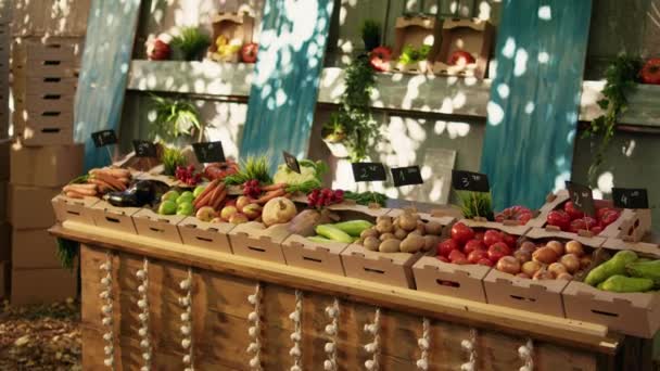 Sokszínű Család Vásárol Természetes Zöldségek Helyi Szabadtéri Piacon Nézi Helyben — Stock videók