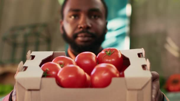 Jeune Homme Stand Titulaire Présentant Boîte Tomates Aux Gens Montrant — Video