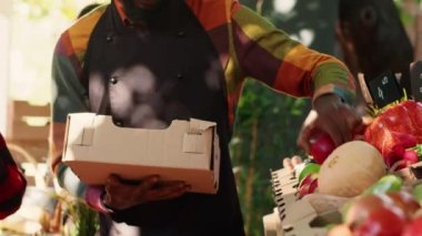 Young business owner putting natural produce in box, selling fresh locally grown products to client at food fair. Male vendor choosing organic bio fruits aand veggies. Handheld shot.