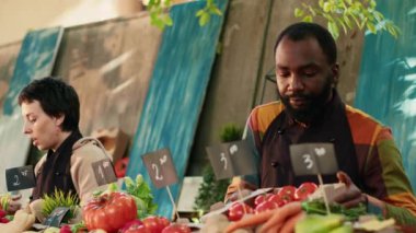 Afrika kökenli Amerikalı çiftçi, doğal yetişmiş ürünleri tüketicilere gösteren bir kutu domates sunuyor. Erkek işyeri sahibi renkli biyolojik ürünler tutuyor. El kamerasıyla..