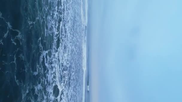 Dikey Video Okyanus Kıyılı Zlanda Manzaralı Siyah Kum Plajı Doğal — Stok video